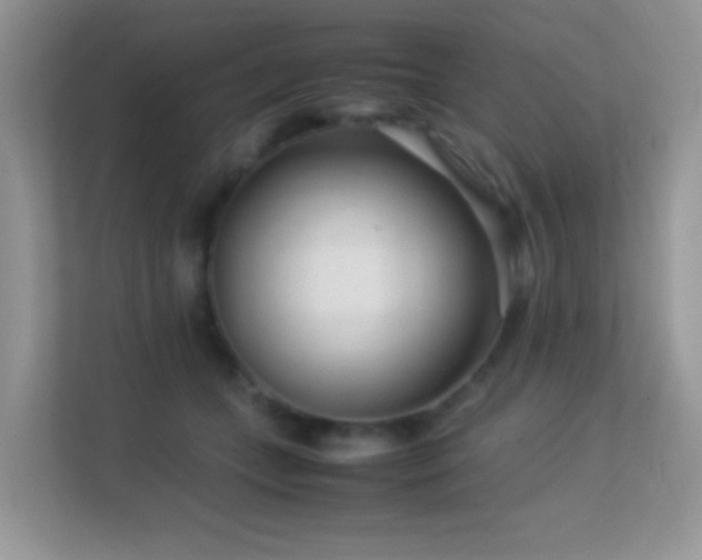 X0000113560559200909251101
