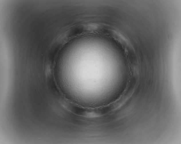 X0000113560561200909251101