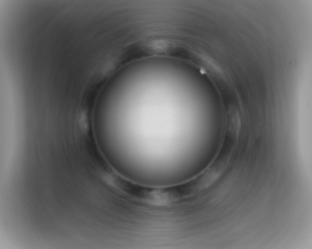 X0000113560562200909251101