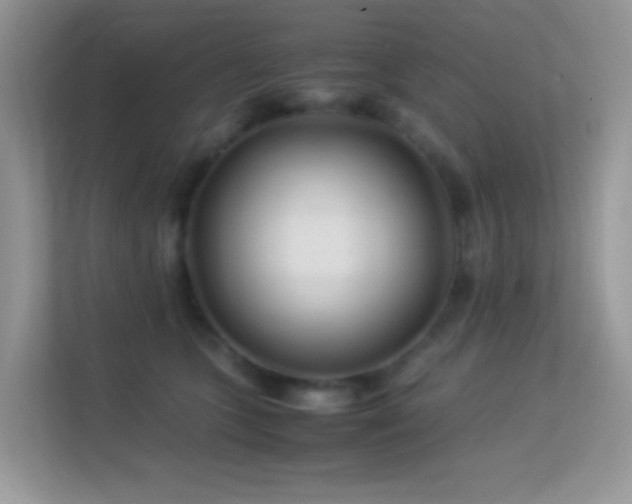X0000113560563200909251101
