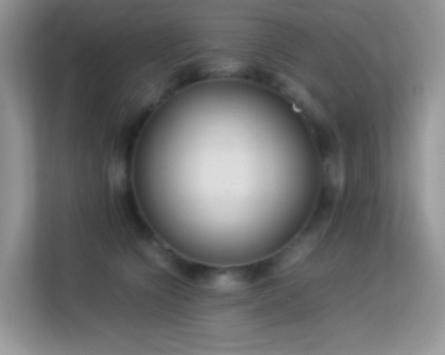 X0000113560564200909251101
