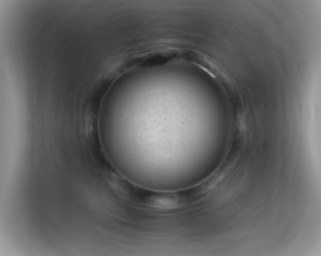 X0000113560567200909251101