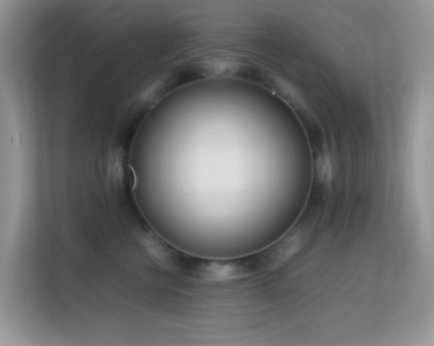 X0000113560570200909251101