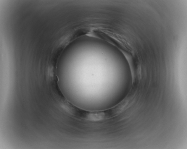 X0000113560571200909251101