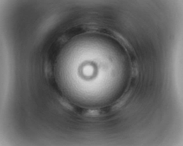 X0000113560573200909251101