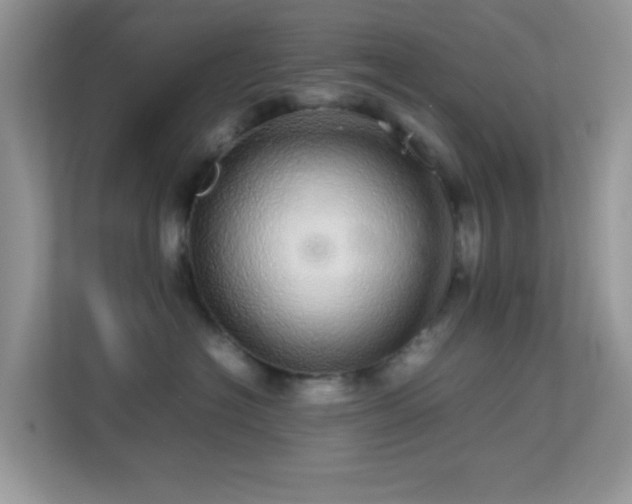X0000113560574200909251101