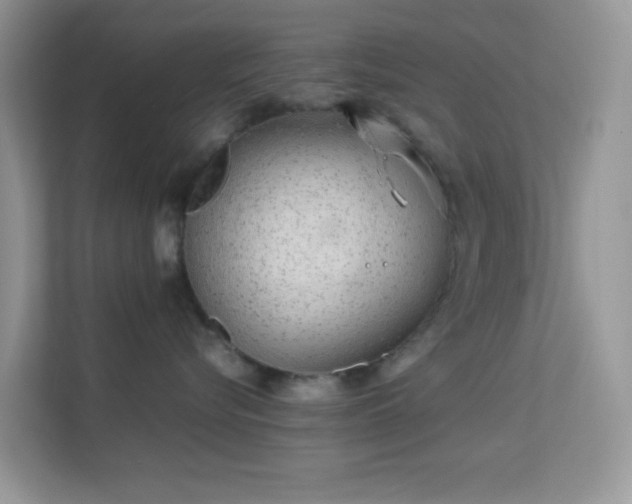 X0000113560576200909251101