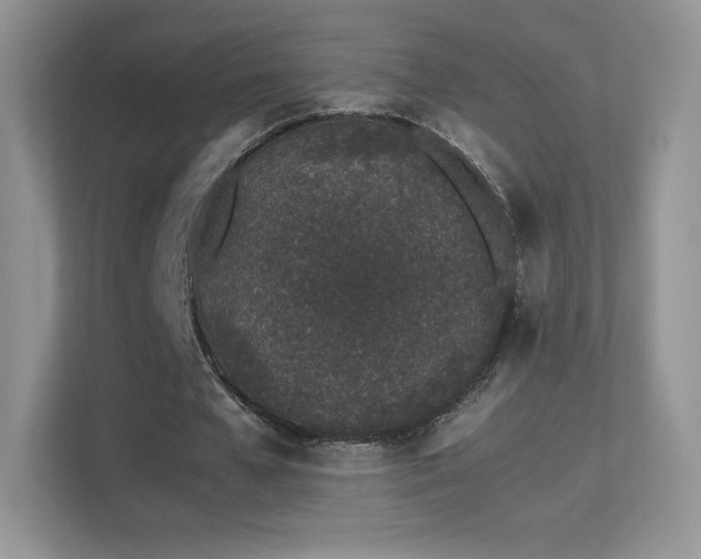 X0000113560577200909251100