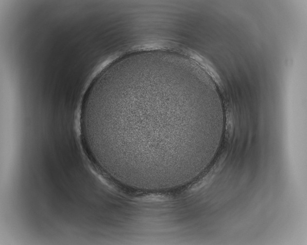 X0000113560578200909251100