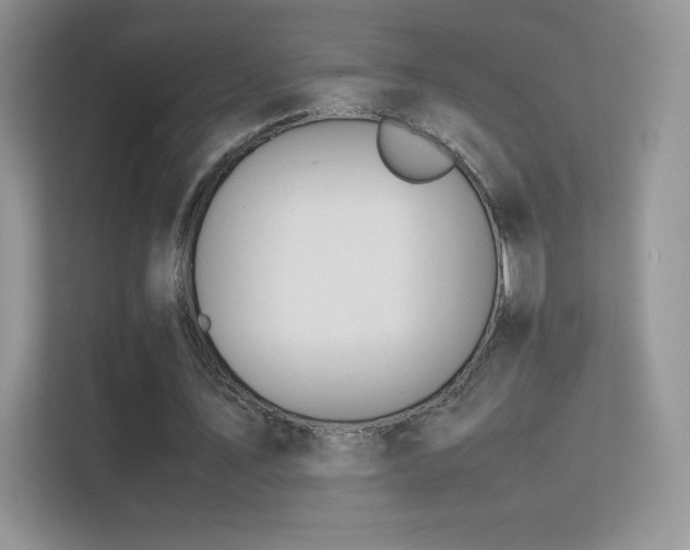 X0000113560579200909251100