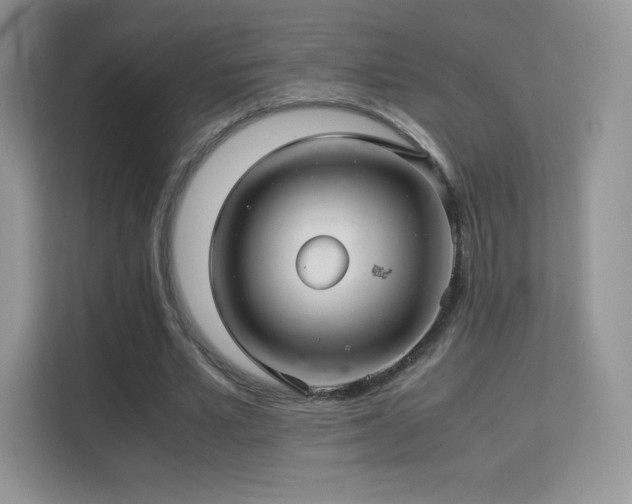 X0000113560581200909251100