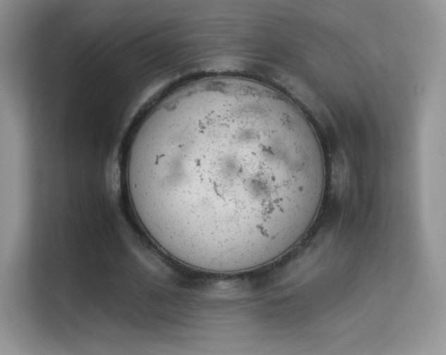 X0000113560584200909251100