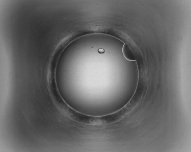 X0000113560587200909251100