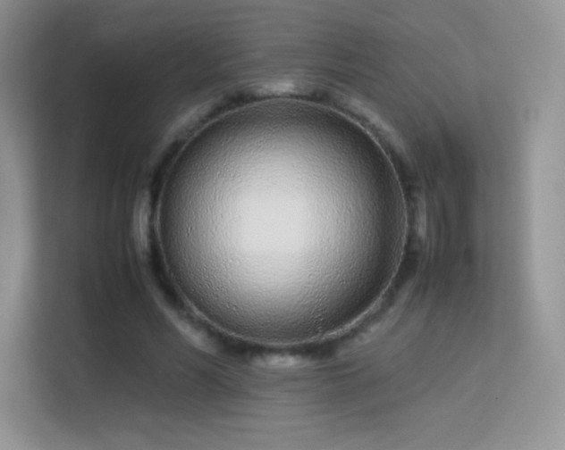 X0000113560590200909251100