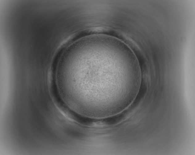 X0000113560591200909251100