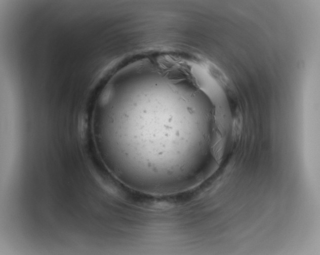 X0000113560592200909251100