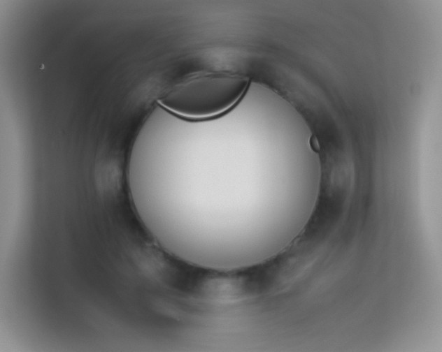 X0000113560595200909251100