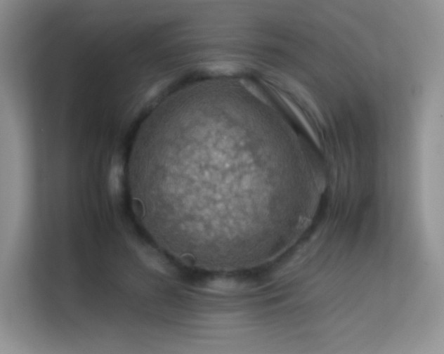 X0000113560596200909251100