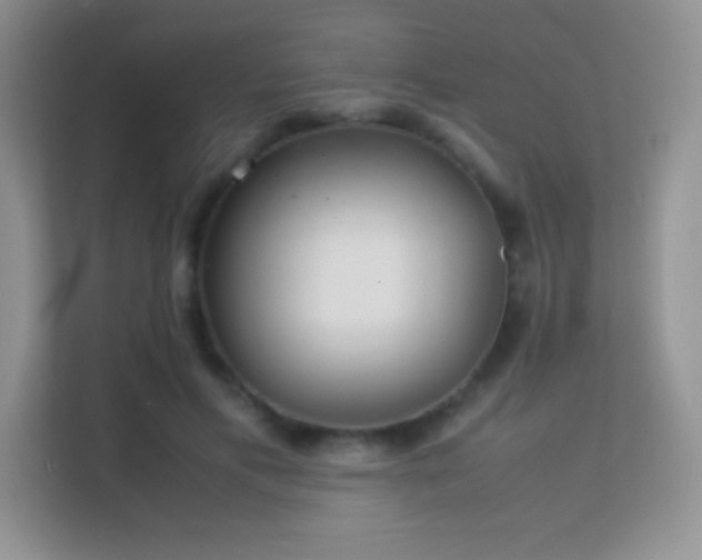 X0000113560597200909251100