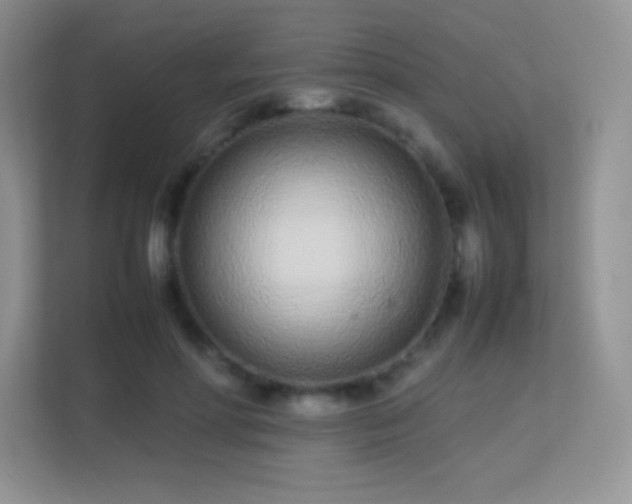 X0000113560598200909251100