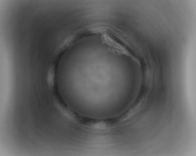 X0000113560600200909251100