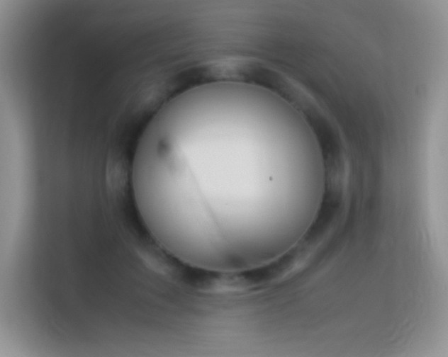 X0000113560603200909251100