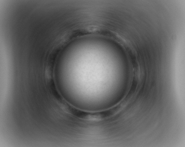 X0000113560606200909251100