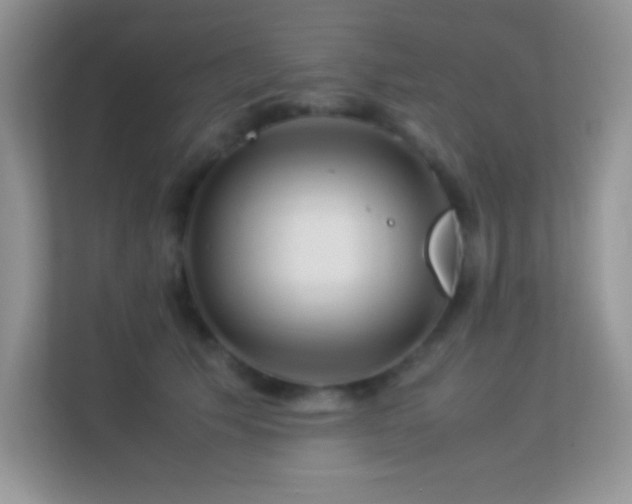 X0000113560609200909251100