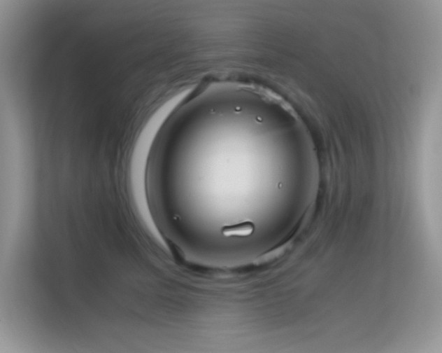 X0000113560611200909251059