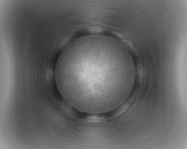 X0000113560614200909251059