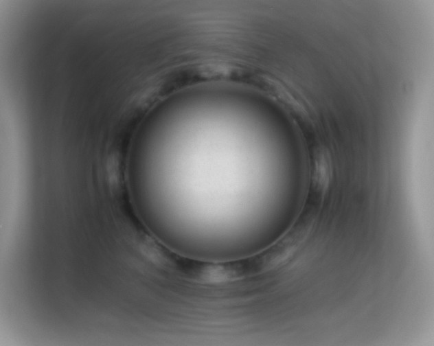 X0000113560616200909251059