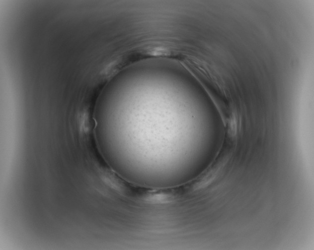 X0000113560620200909251059