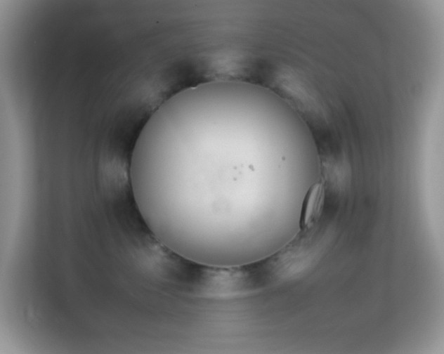 X0000113560621200909251059