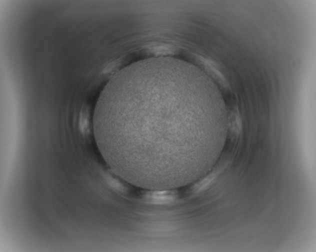 X0000113560622200909251059
