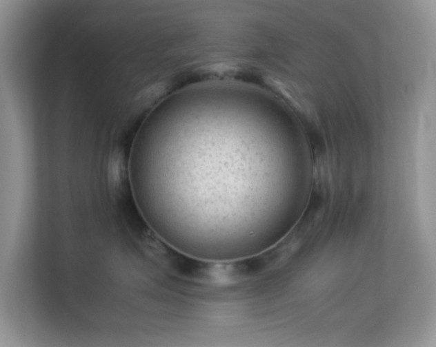 X0000113560623200909251059