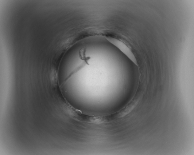 X0000113560624200909251059