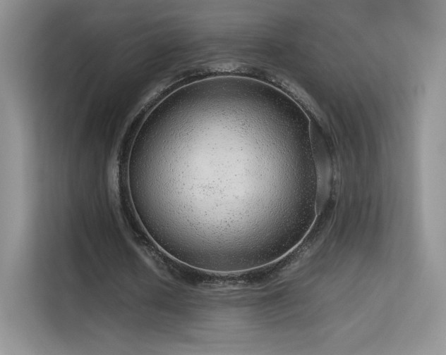 X0000113560626200909251059