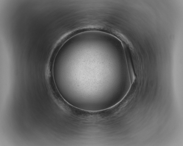 X0000113560628200909251059