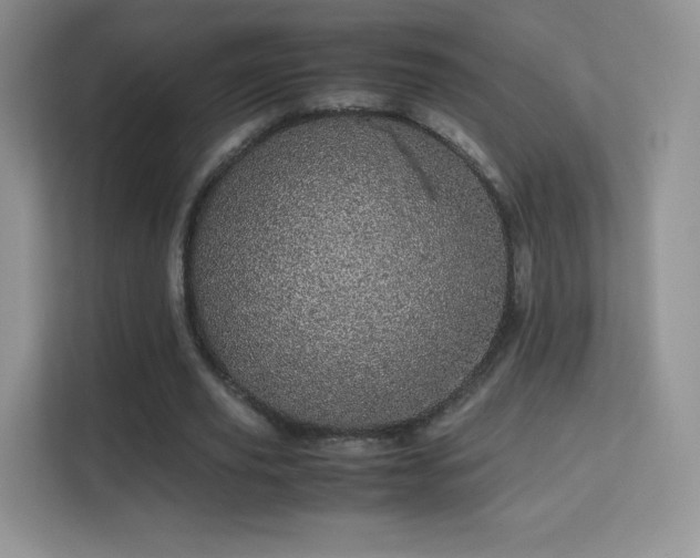 X0000113560629200909251059