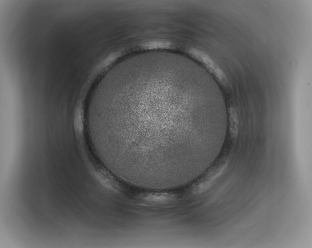 X0000113560631200909251059