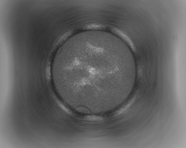 X0000113560633200909251059