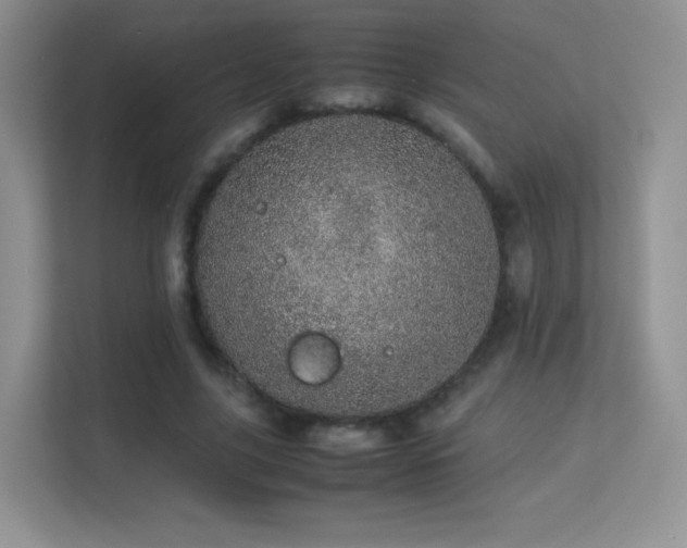 X0000113560635200909251059