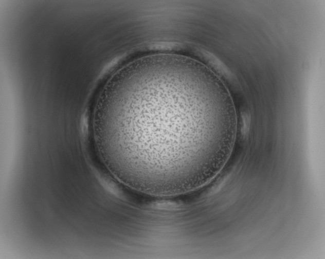 X0000113560636200909251059