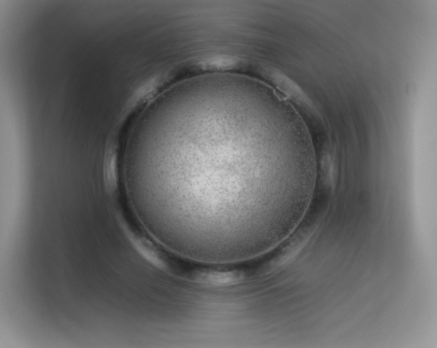 X0000113560638200909251059