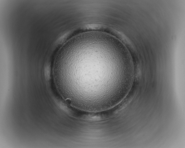 X0000113560640200909251059