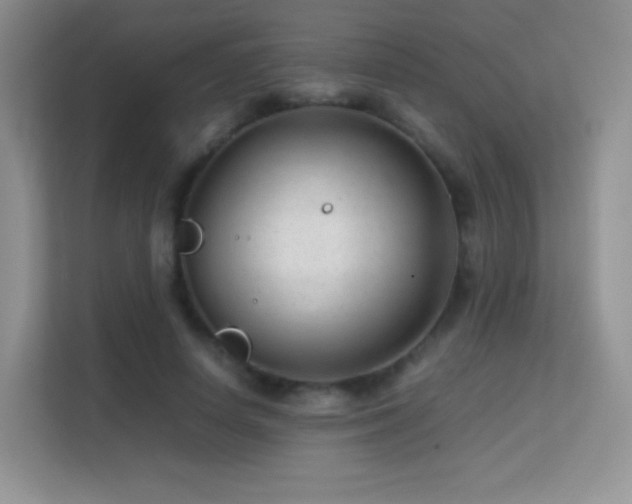 X0000113560642200909251059