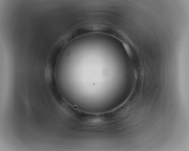 X0000113560643200909251059