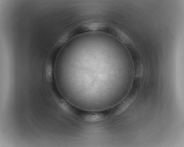 X0000113560646200909251059