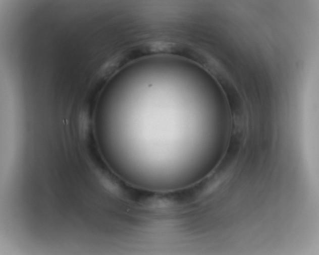 X0000113560648200909251059