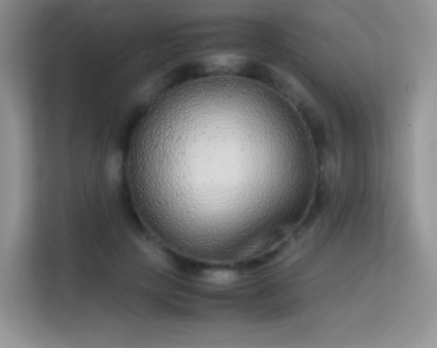 X0000113560649200909251059